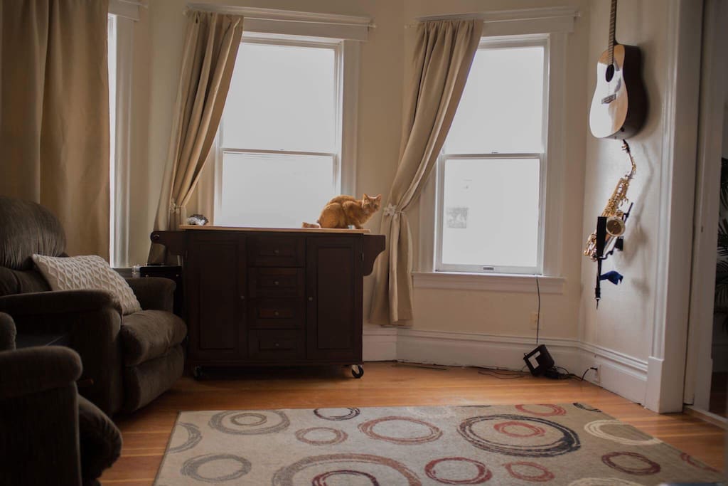 Music/lounge/dog room with our cat Kink (again!)