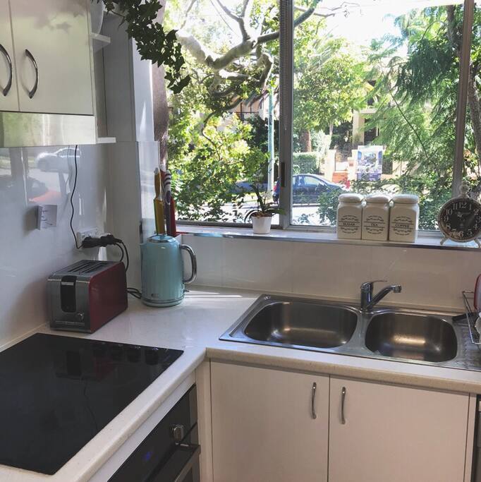 Modern kitchen, leafy outlook