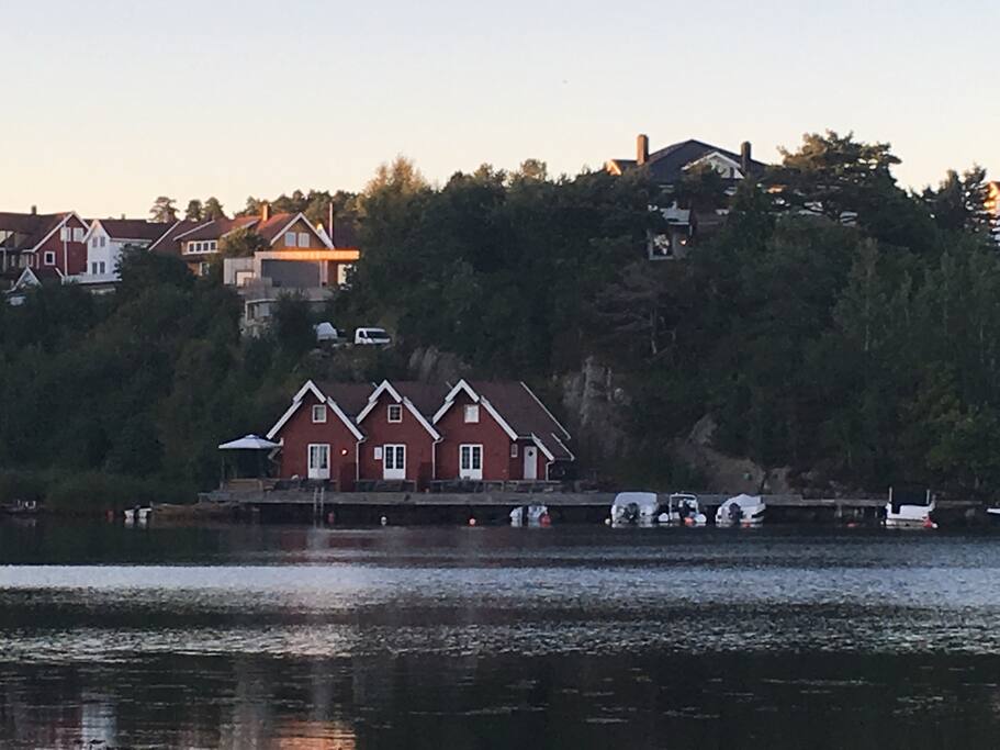 Leier ut den i midten og den til høyre