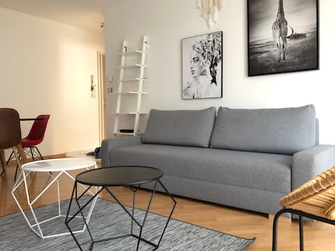 Nice Family Apartment (MULHOUSE / BASEL / COLMAR)