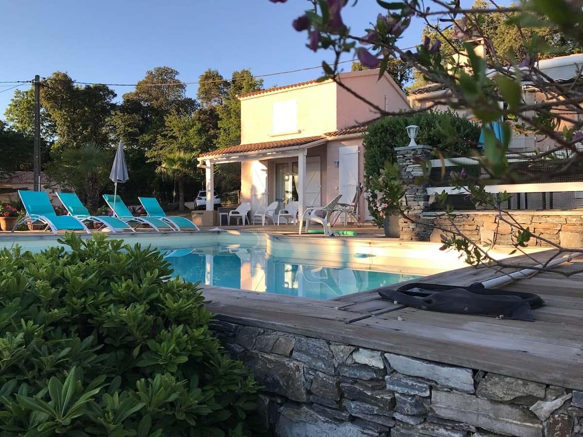 A view of the salt-water pool framed by a wooden deck, featuring several lounge chairs in bright blue. Lush greenery and flowering plants add a touch of nature, while a charming villa is situated in the background among tall trees.