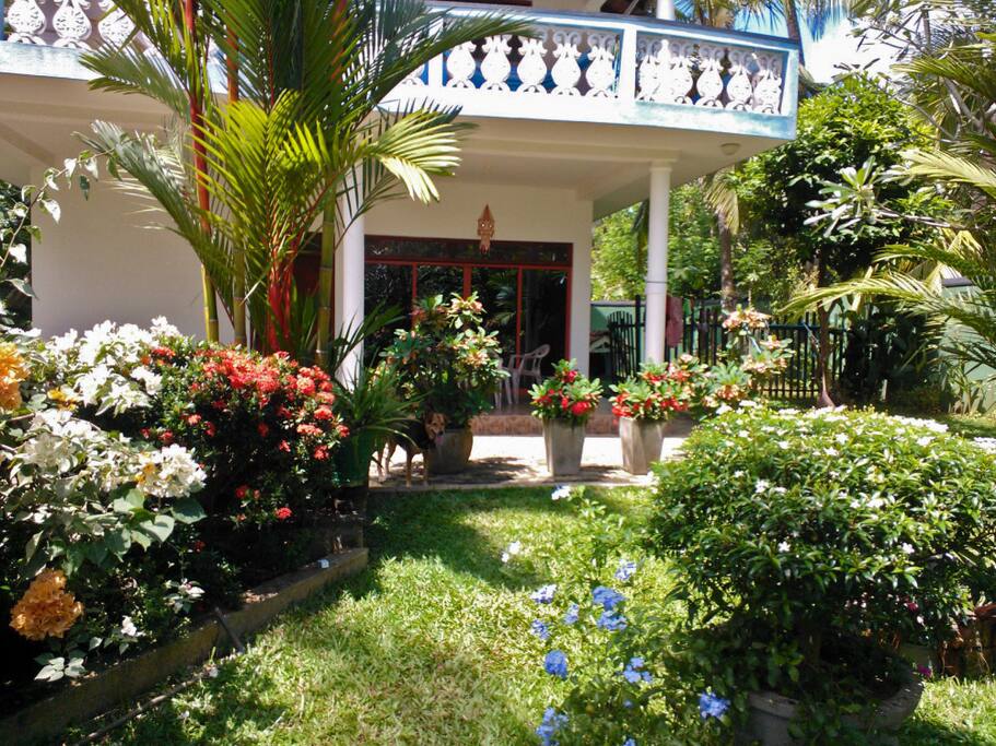 Garden full of flowers.