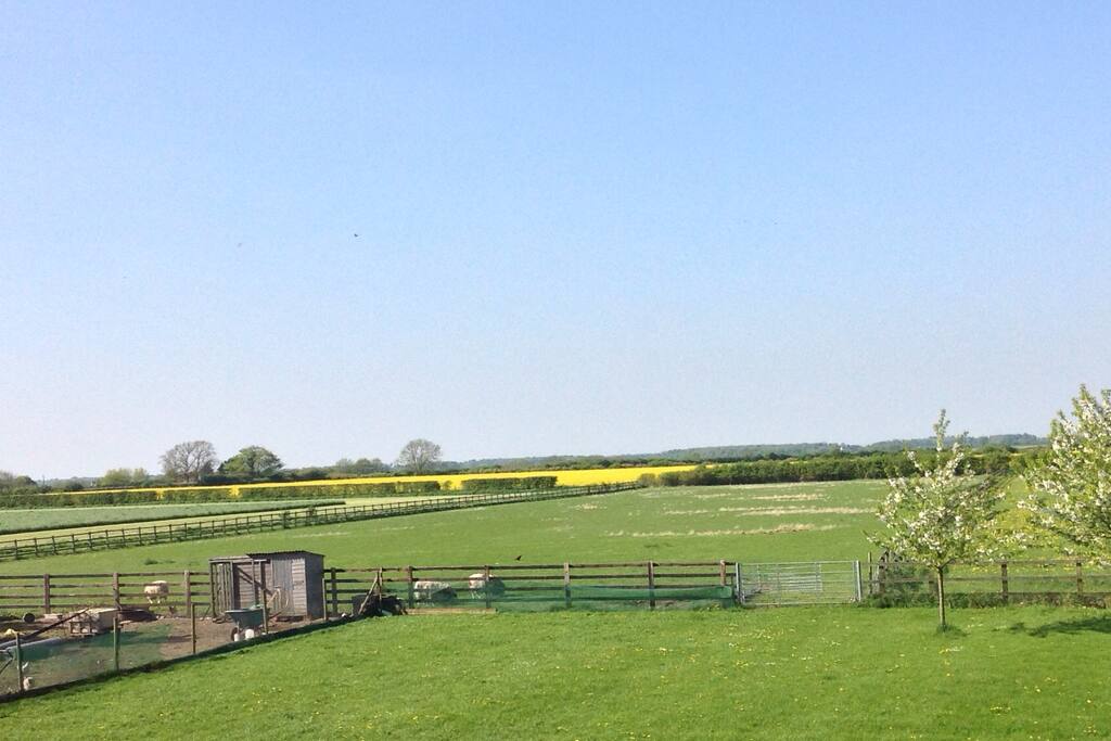 We have amazing uninterrupted views from all the windows, guests are welcome to enjoy the outside spaces. There are miles of walks/bike ride tracks right from our front gates.