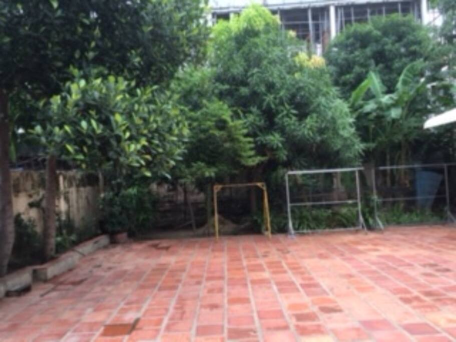 Green garden