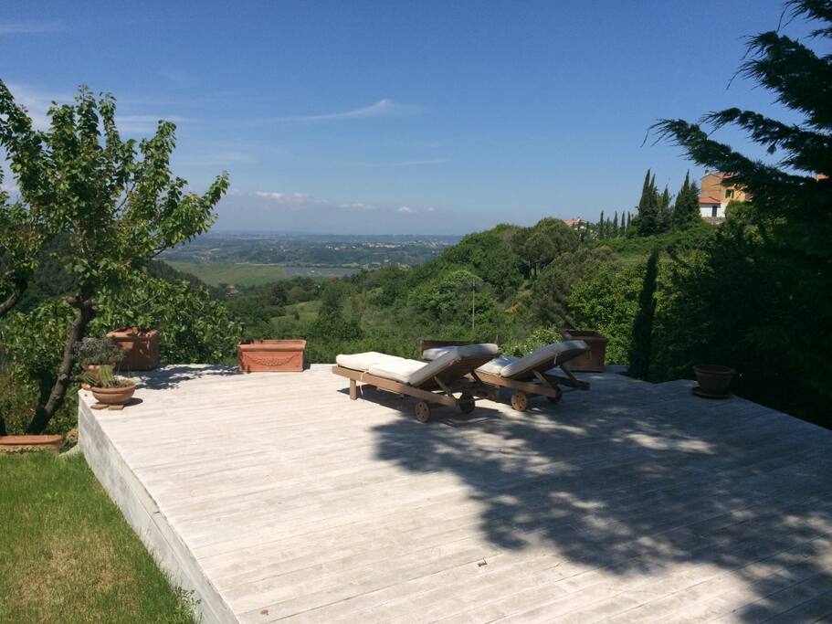 The view from the backyard