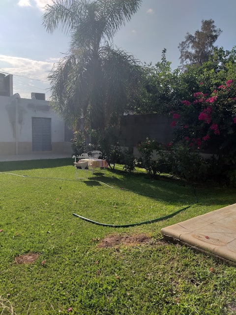 Calido casa