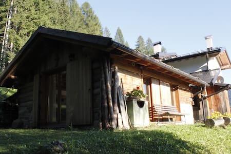 LA VOCE DEL BOSCO Selva di Cadore