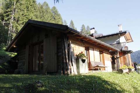 LA VOCE DEL BOSCO Selva di Cadore