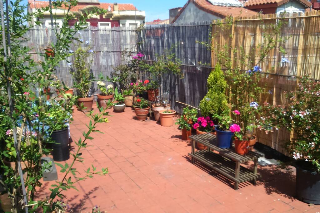 El acceso a la terraza es limitado. No constituye parte de la oferta.
