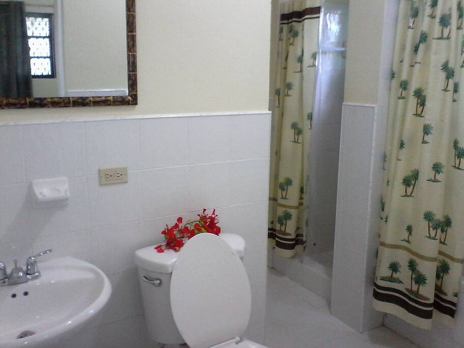 Tub and 2 showers in "Grand Room"