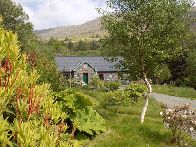 Airbnb Lauragh Ferienwohnungen Unterkunfte County Kerry