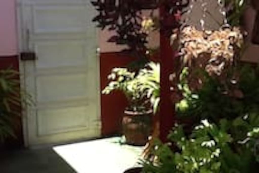 Parte del Jardin Areas comunes