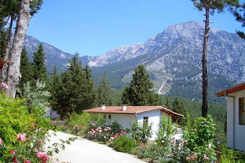 Isolated, cozy cottage house in Beycik - Kemer