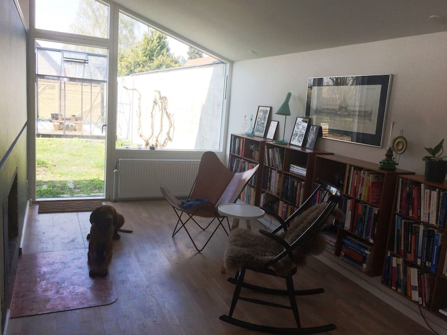 Lower living room