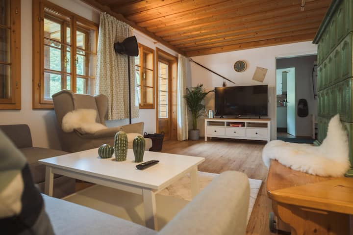 Holiday Apartment Musician - Villa Salzweg - Bad Goisern