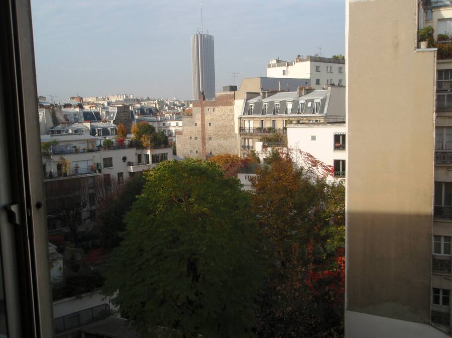 vue dégagée sur jardin intérieur