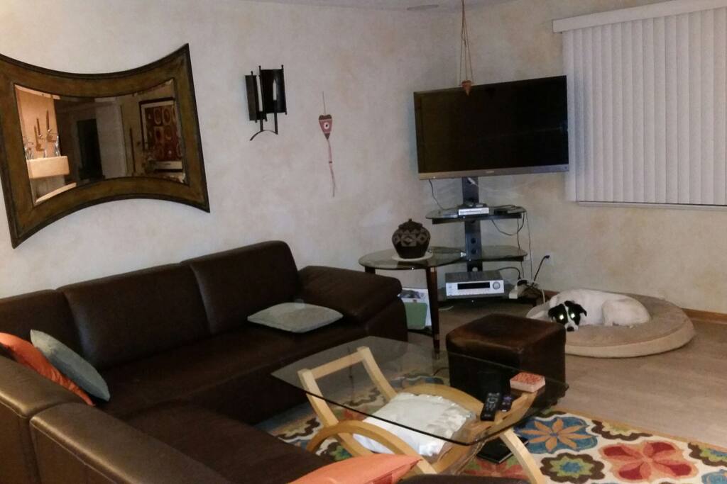 Living room with Sony TV & wood fireplace