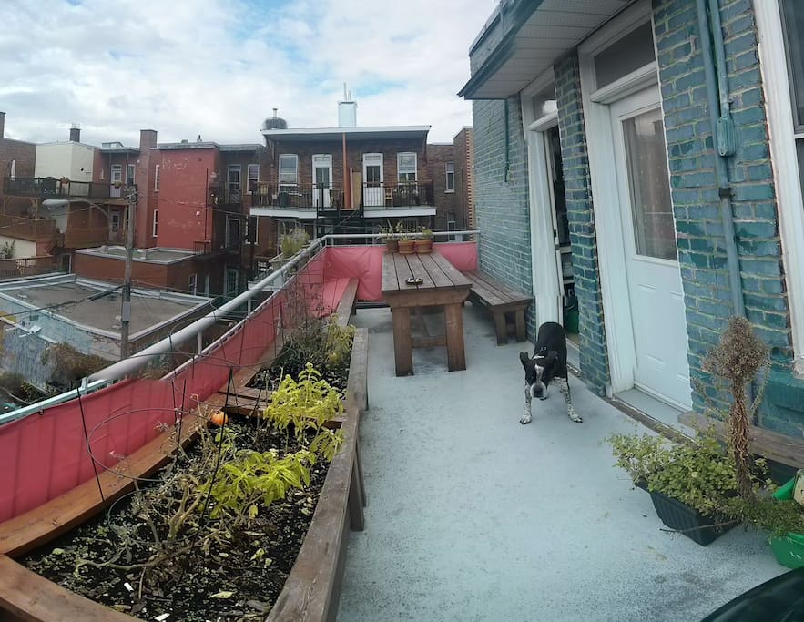Terrasse arrière. L'endroit des fumeurs ;)