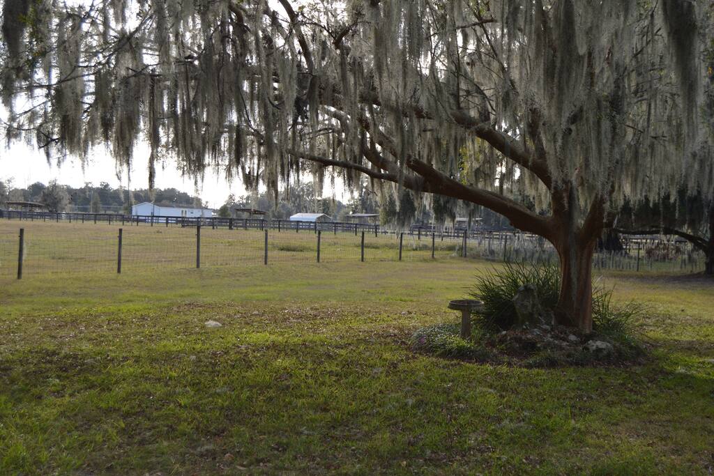 fenced yard