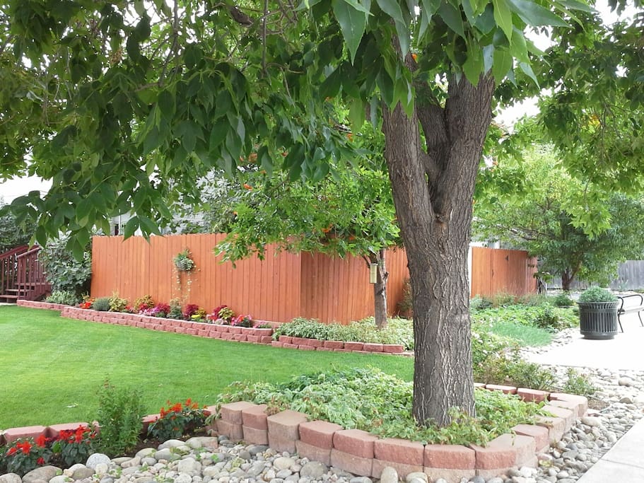 Front yard