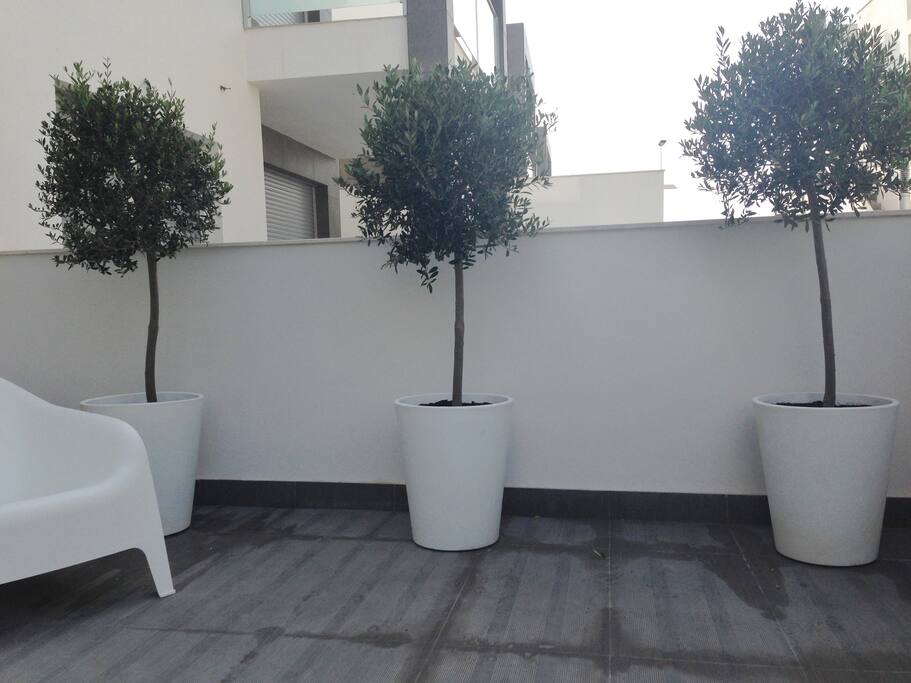 Los 3 olivos