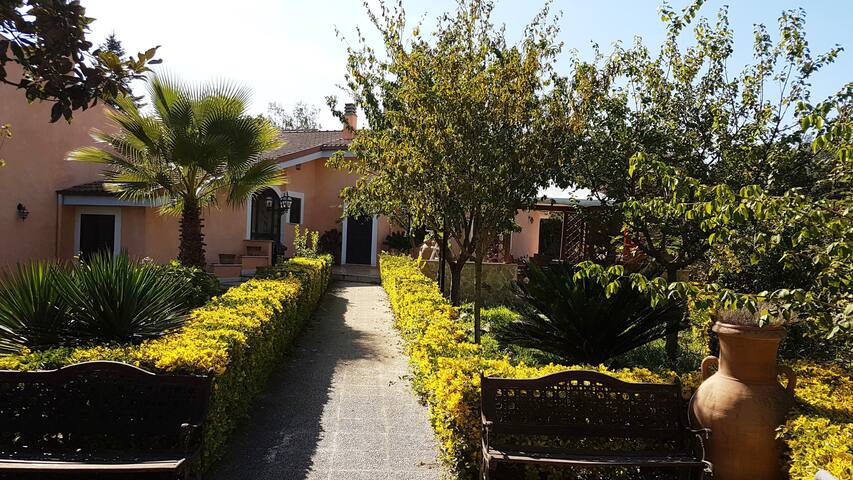 Olgiata 84 gallery image 2