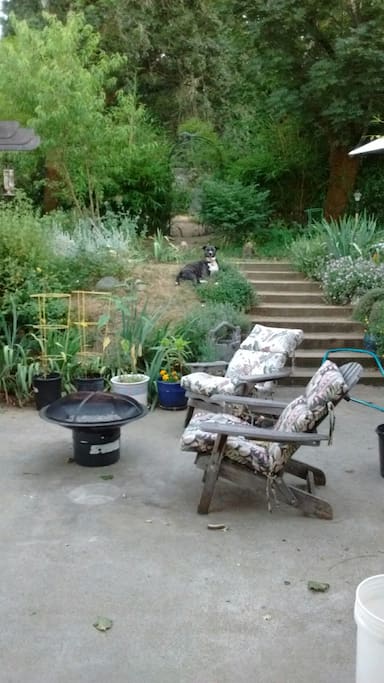 backyard garden