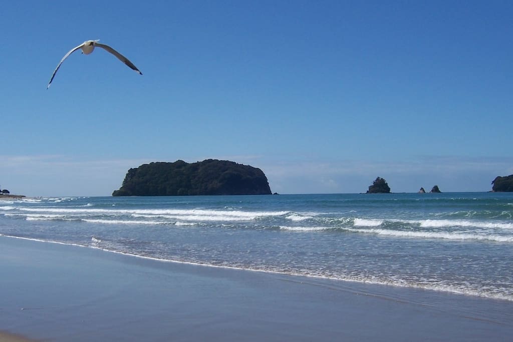 Ocean Beach