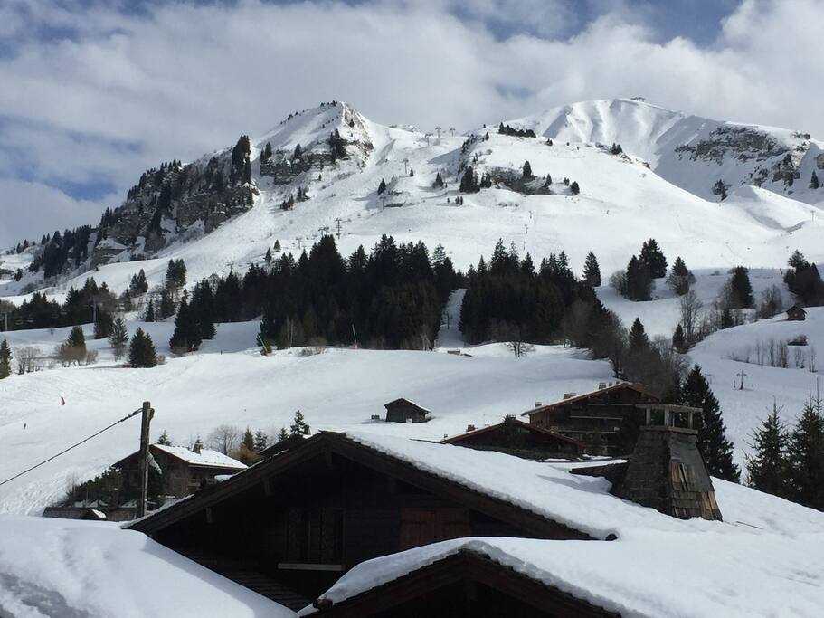 vue balcon coté pistes