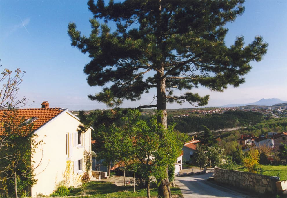 Endless views over the Ucka mountain