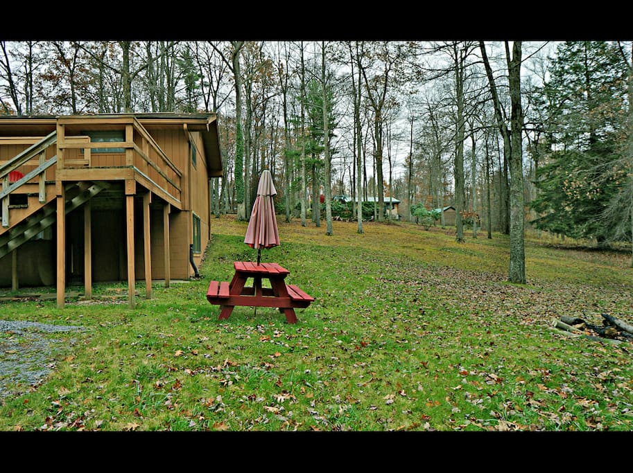 Back yard w/Fire Pit.