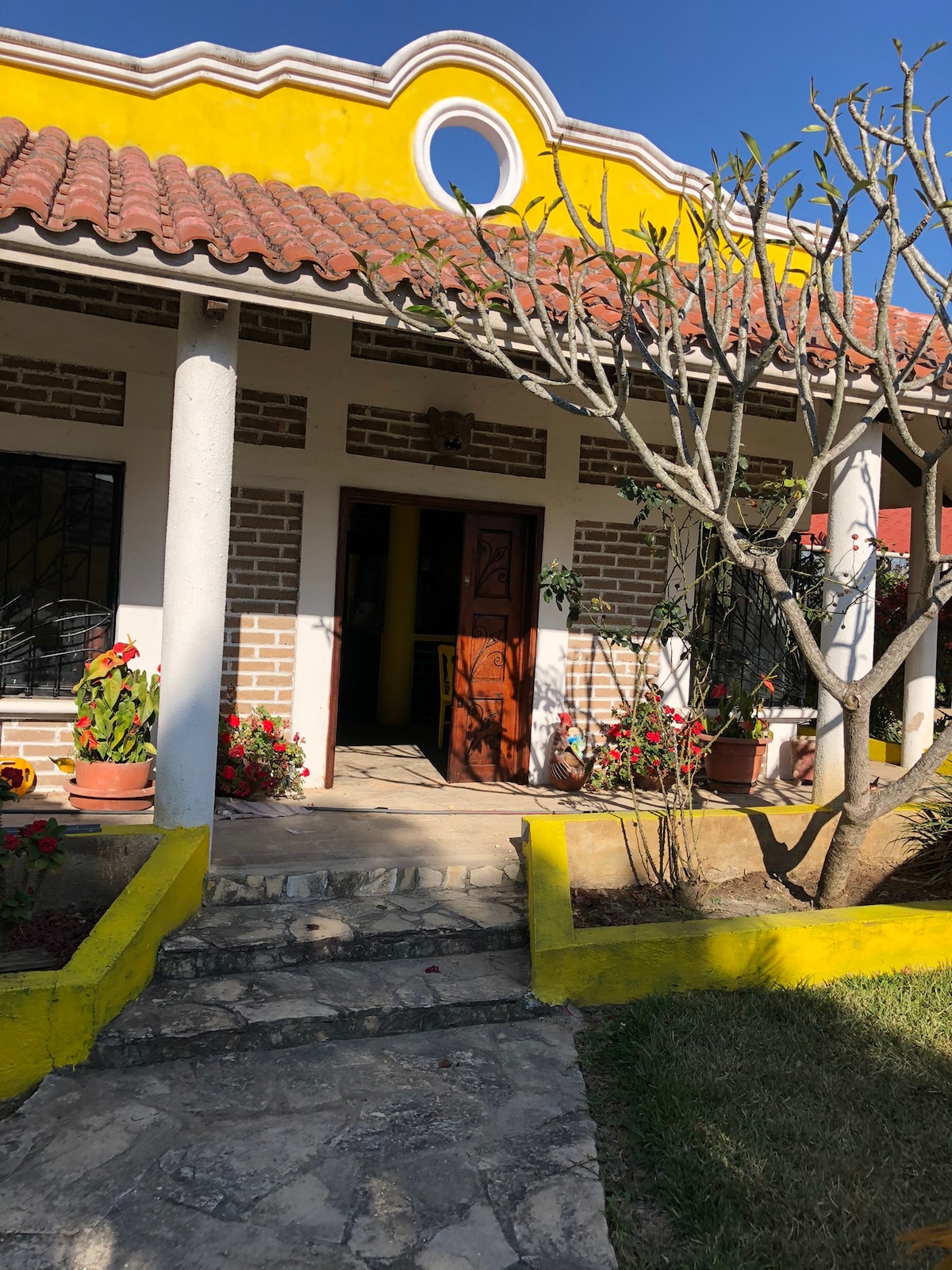 A vibrant exterior features a yellow facade complemented by a traditional tiled roof. The entrance is framed by tall, white columns and adorned with potted plants, showcasing colorful flowers along the path. Sunlight illuminates the inviting entrance, creating a welcoming atmosphere.