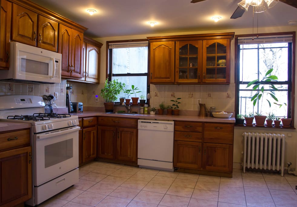 You'll find the shared kitchen has all the essential appliances and cookware, plus a lot of plant life!