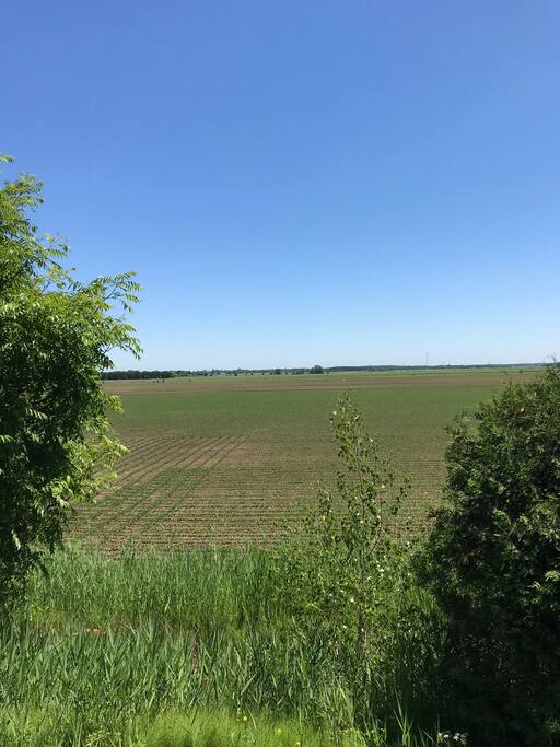 Vue sur le champs