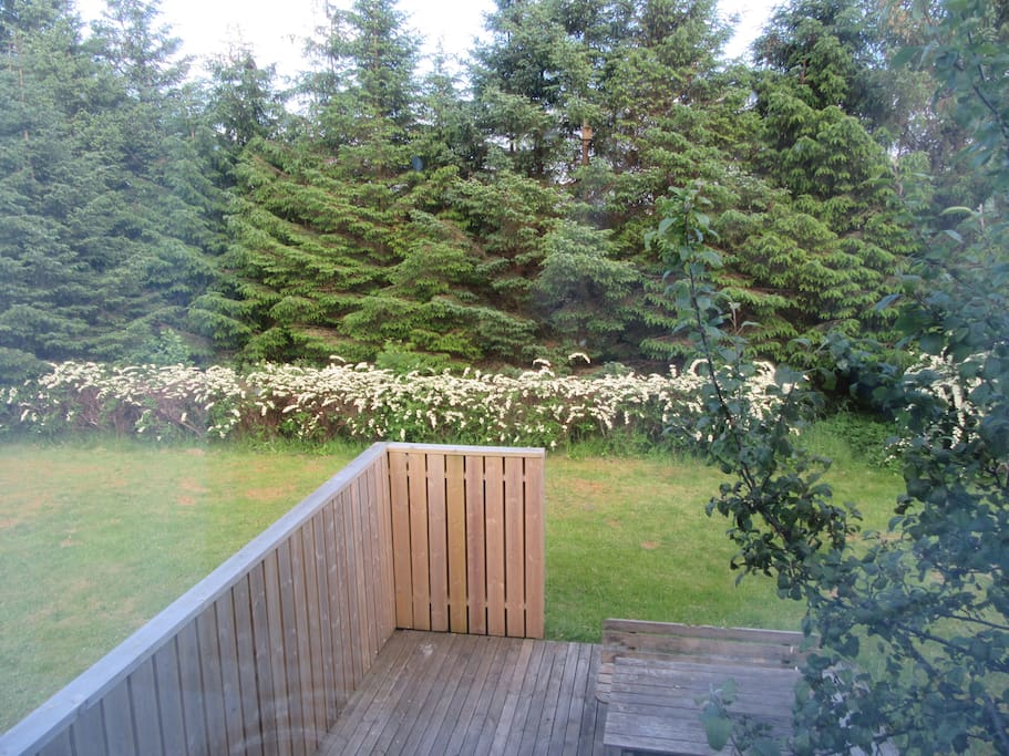 The view from your window