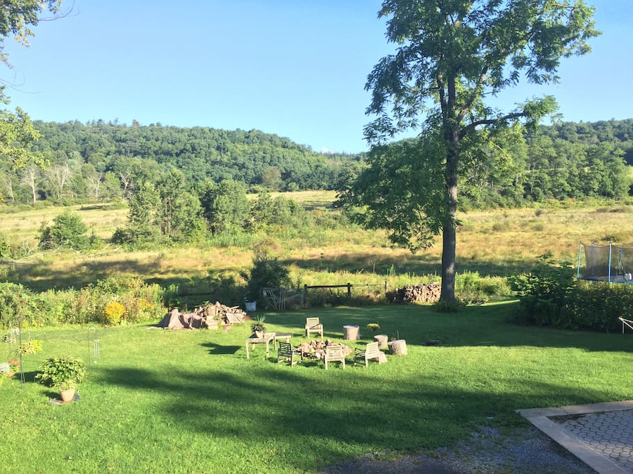 Beautiful Backyard View