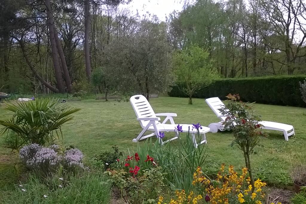 Le jardin