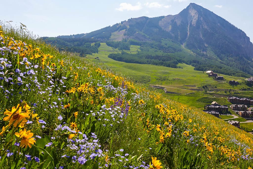 beautiful crested butte in summer