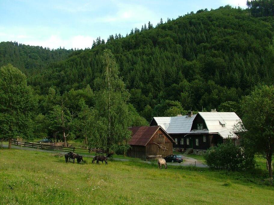 s huculskými koňmi