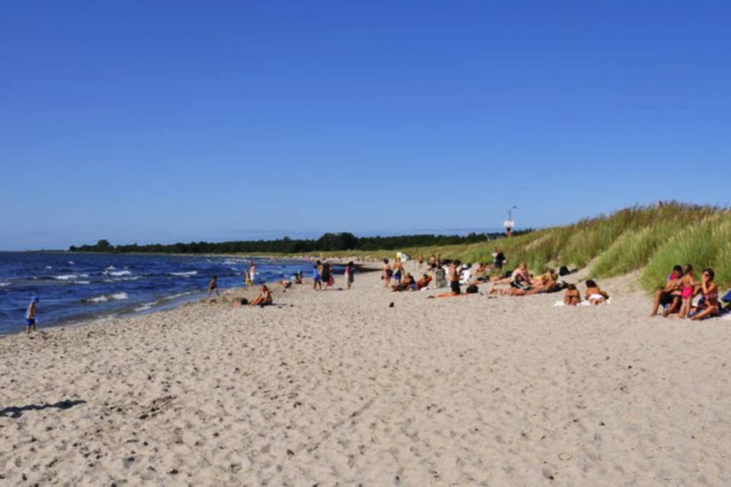 Tofta Beach - 100m from the house