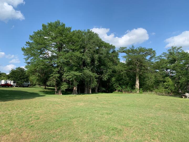 15 Best PetFriendly Cabins Near Guadalupe River, Texas Updated 2024