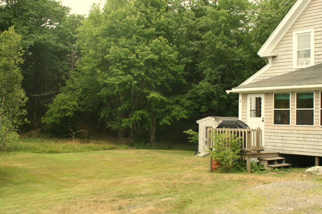 Grill and Backyard