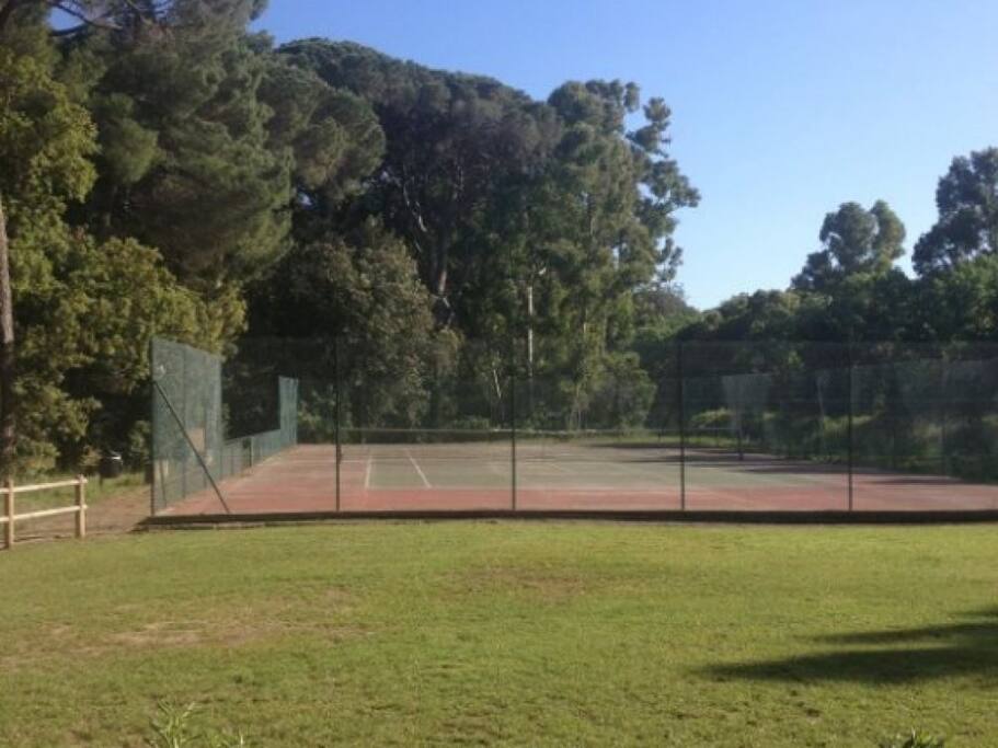 tennis