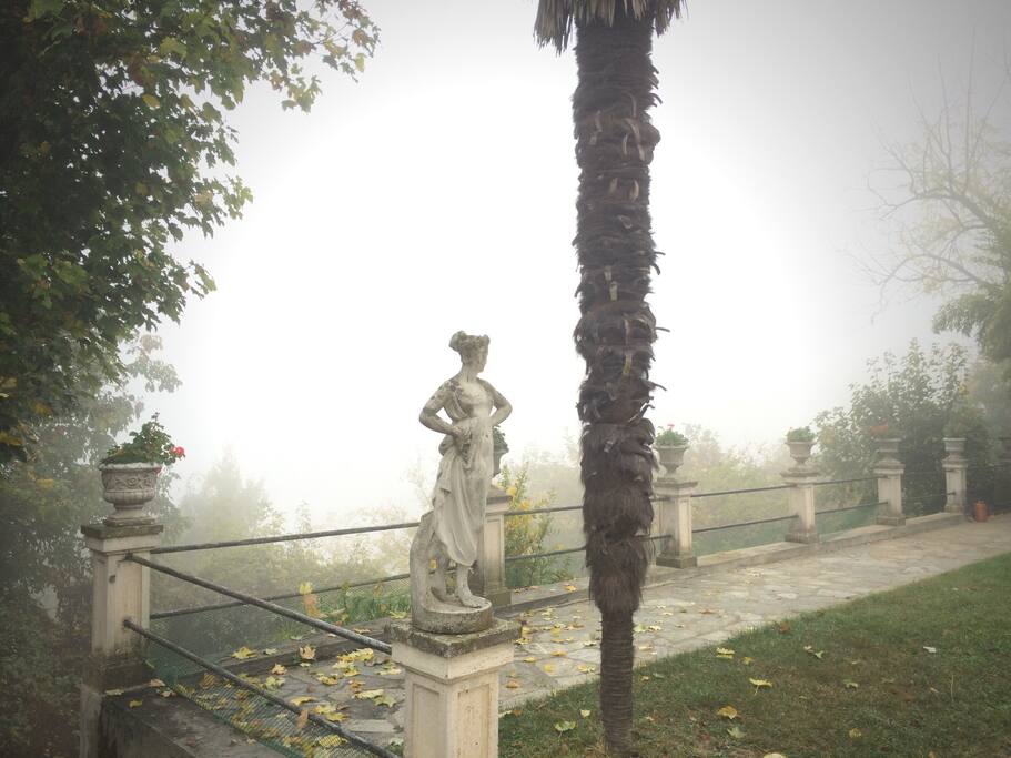 Morning fog