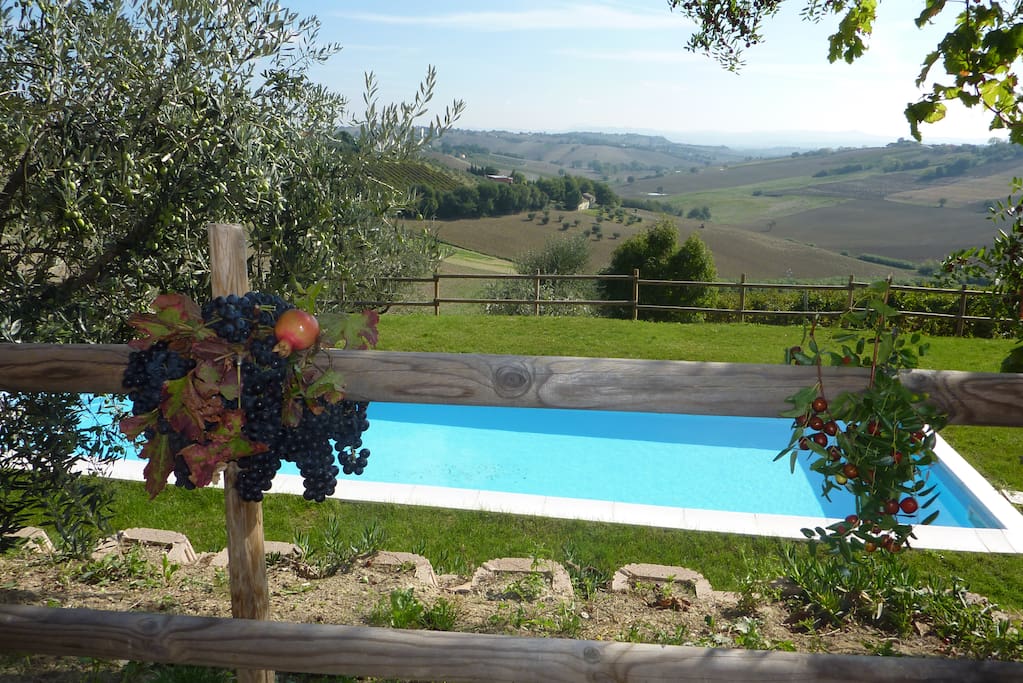 Villa Sant'Elena:the fabulous view from the pool and from the Villa