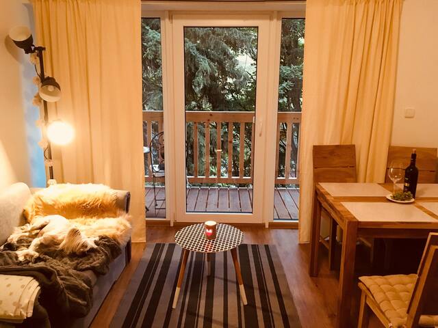 Apartment TooToo Pec pod Snezkou