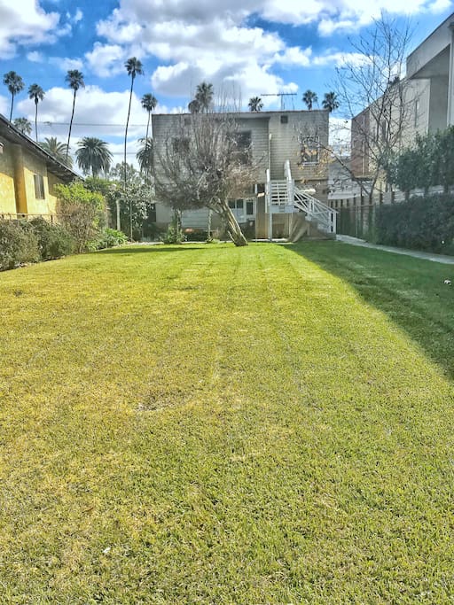 Most likely the largest yard in Venice! This yard is the same length as the house next door.