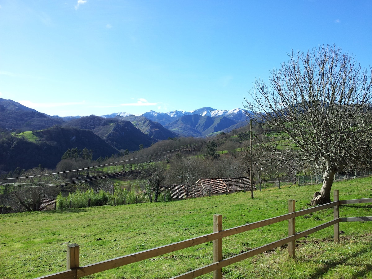 A panoramic view presents rolling green hills and distant mountains, some capped with snow. A wooden fence encloses a grassy area, while a bare tree stands prominently, contributing to the serene rural landscape bathed in natural sunlight.