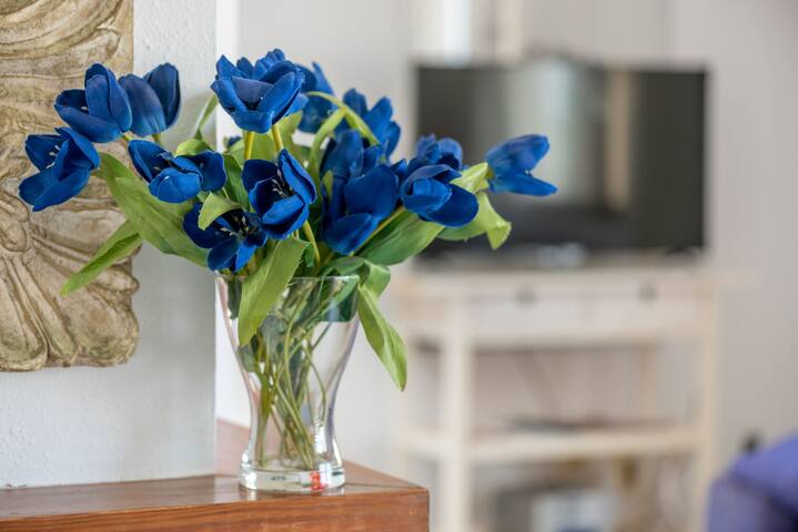 Miramar gallery image 5