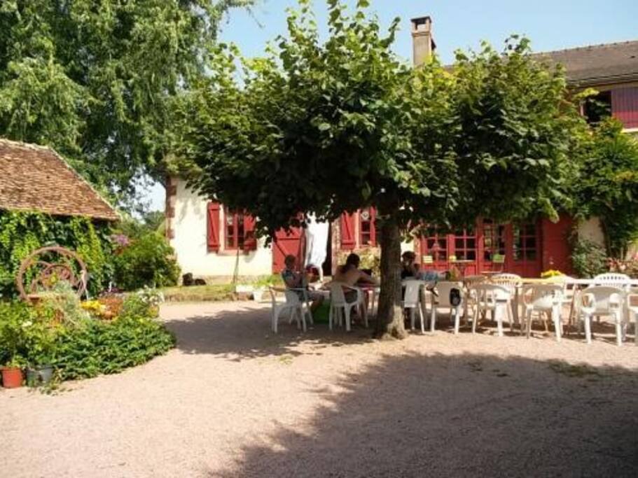 La cour en été